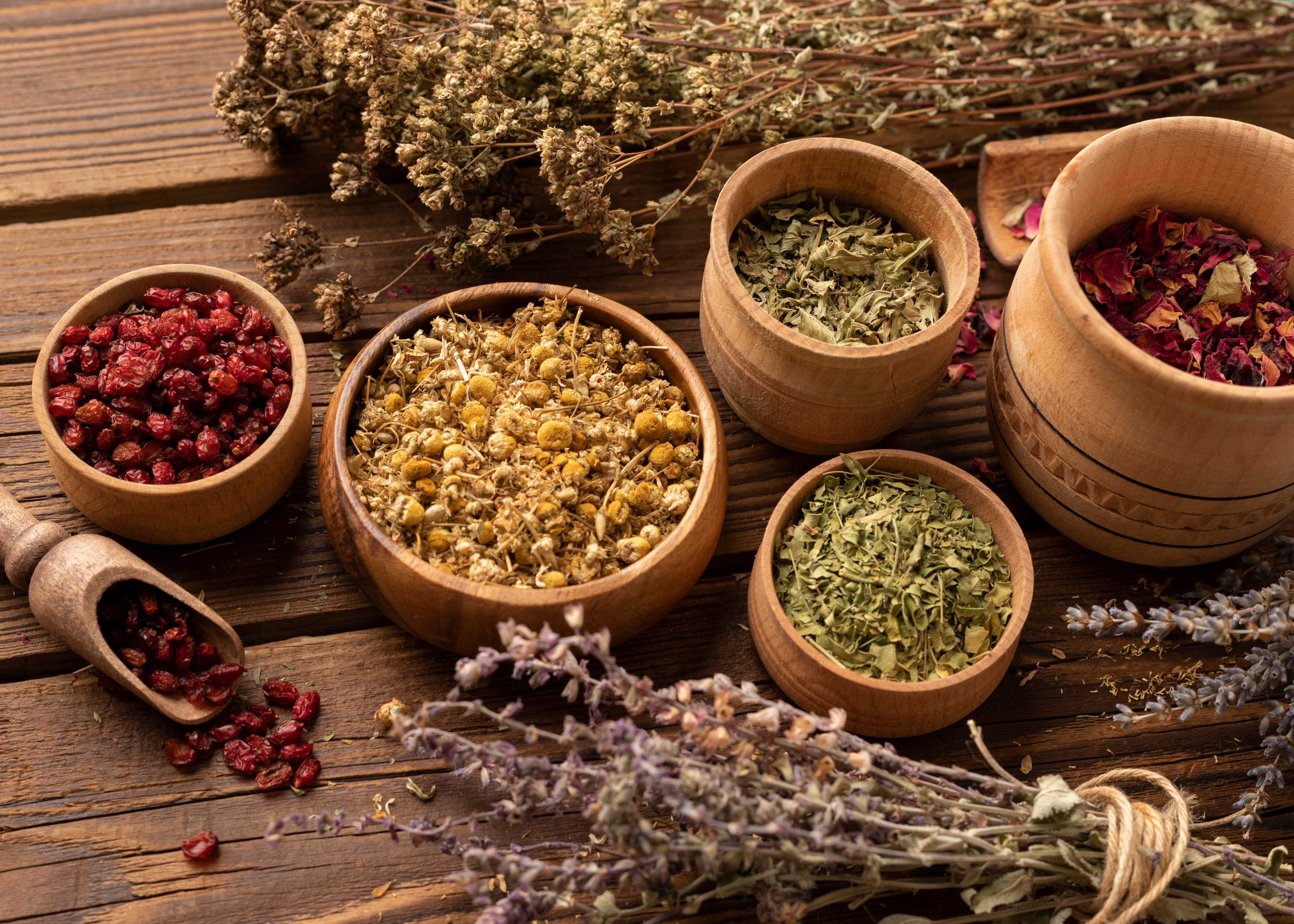 Herbal Supply