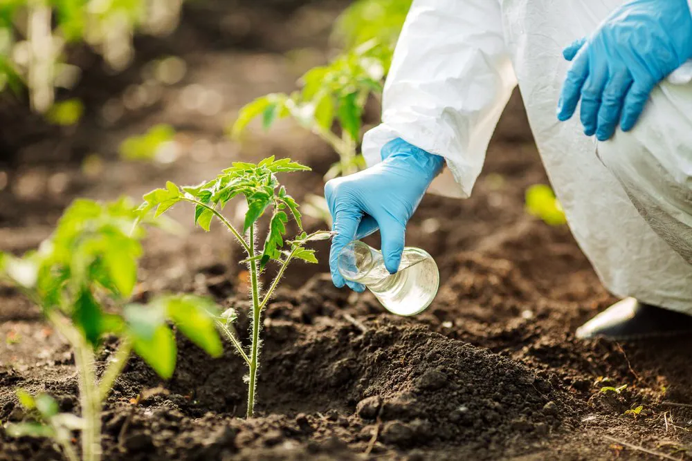 Sustainable Farming Techniques