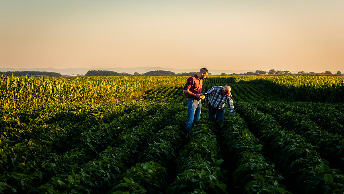 Pesticide Free