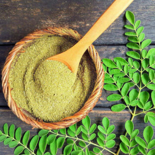 moringa-for-pregnancy-1