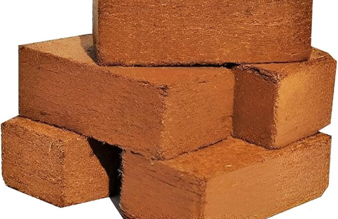 81HuW92bvDL._AC_UF1000,1000_QL80_