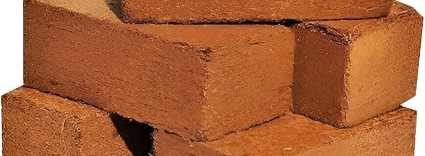 81HuW92bvDL._AC_UF1000,1000_QL80_