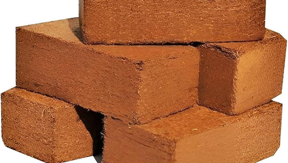 81HuW92bvDL._AC_UF1000,1000_QL80_