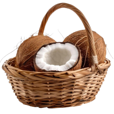 front-close-view-coconut-wooden-basket-with-handle-transparency-background-psd_693425-23518-removebg-preview